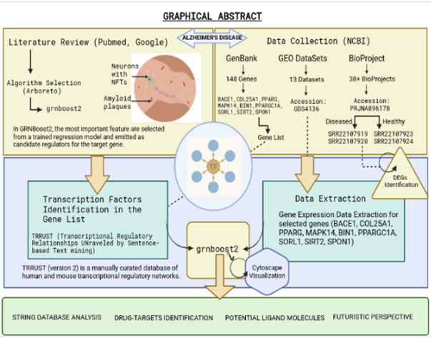 Research Image 4