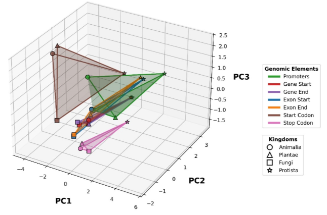 Research Image 1