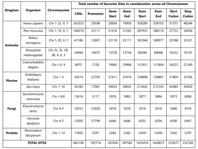 Research Image 1