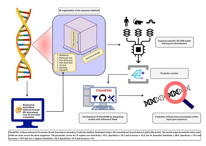 Research Image 2